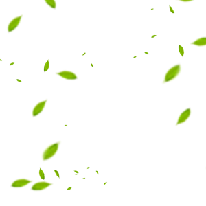 Floating Green Leaves Blur Effect Free PNG