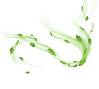 Green Leaves Wind Swirl Effect PNG Image