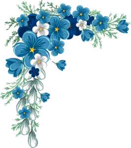 Flower PNG – Beautiful & Colorful Transparent Images Download