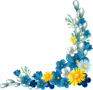 Flower PNG – Beautiful & Colorful Transparent Images Download