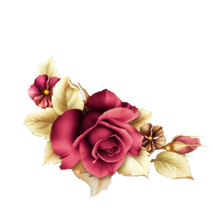 Flower PNG – Beautiful & Colorful Transparent Images Download