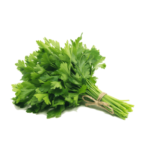 Fresh Green Parsley Bunch Free PNG