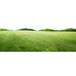 Green Grass Field Landscape Free PNG