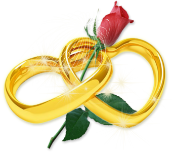 Flower PNG Transparent Images Download