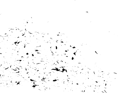 Black Dust and Scratches Texture Free Download