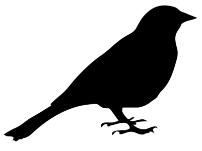 Black Bird Silhouette PNG Image