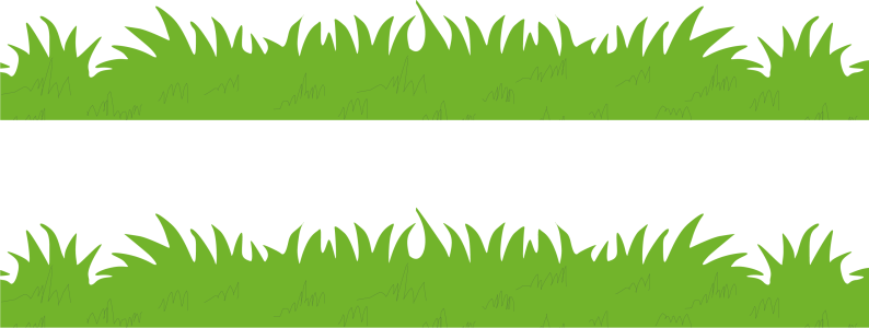 Green Grass Border Vector Free PNG