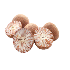 Betel Nut Areca Nut Supari Free PNG