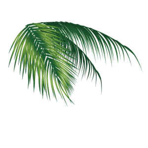 Green Palm Leaves Tropical Clipart