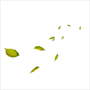 Falling Green Leaves Overlay PNG