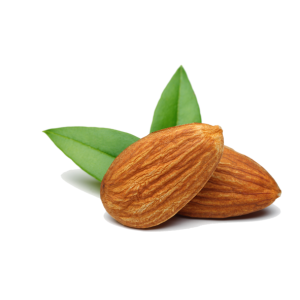 Almonds with Leaves Clipart PNG
