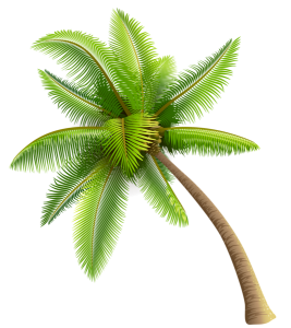 Green Palm Tree Free PNG
