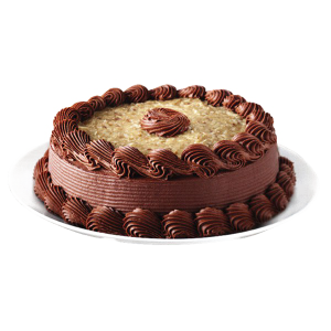 Chocolate Coconut Cake PNG Image