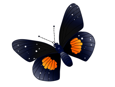 Black and Orange Butterfly Transparent Background