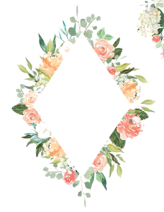 Floral Diamond Frame Border Free PNG