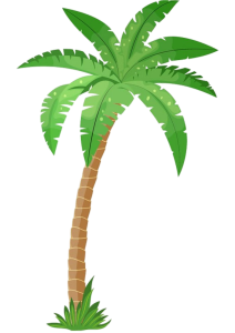 Tropical Green Palm Tree Free PNG