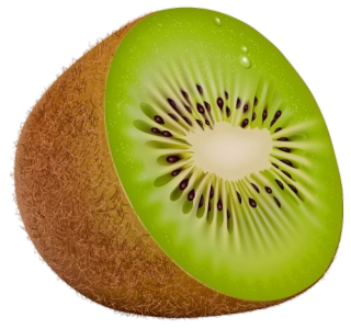 Half Kiwi Fruit Realistic Free Download