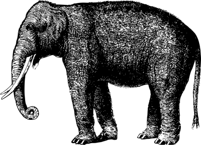 Elephant Line Art Illustration Free Download