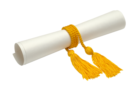 Diploma Degree Scroll With Tassel Free PNG