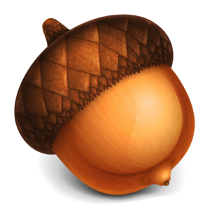 Brown Acorn Nut Autumn Element Free PNG