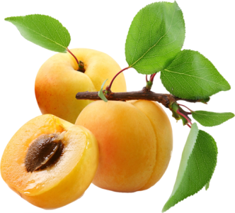 Fresh Ripe Apricots With Green Leaves Free PNG