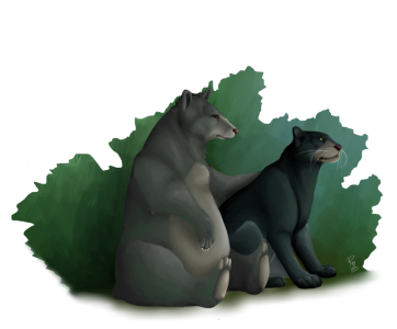 Black Bear And Panther Sitting Free PNG