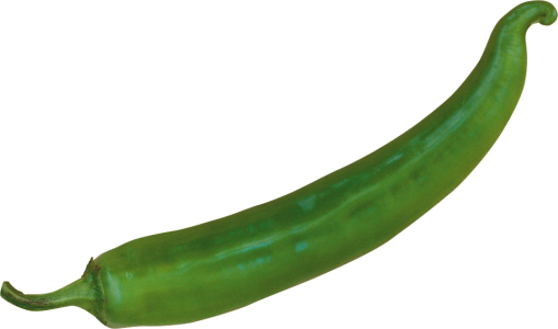 Fresh Green Chili Pepper Free PNG