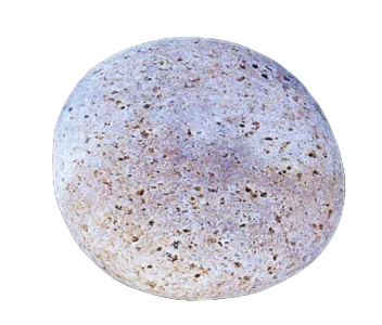 Round Textured Pebble Stone PNG Image