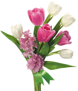 Pink And White Tulips Bouquet Free PNG