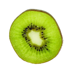 Single Green Fresh Kiwi Fruit Slice Free PNG