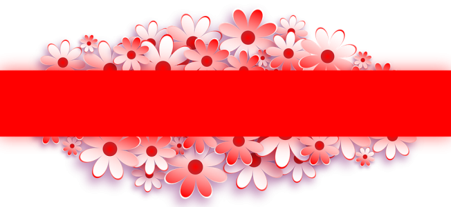 Red Flower Border Banner Free PNG