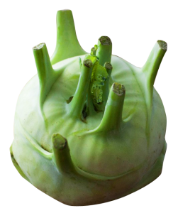 Fresh Green Kohlrabi Vegetable PNG Image