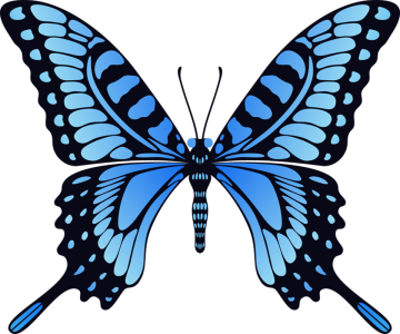 Elegant Blue Butterfly Vector Free PNG