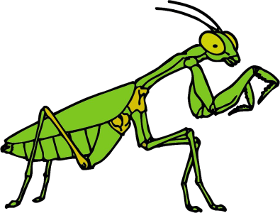 Praying Mantis Cartoon Clipart