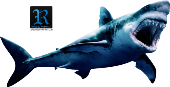 Great White Shark Transparent Background