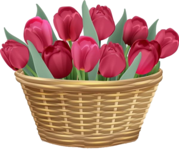 Basket Of Red Tulips Clipart