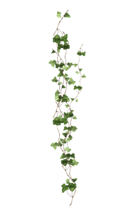Green leaves with the wind, green leafed plant, branch PNG Image File Free Download – Clickpng