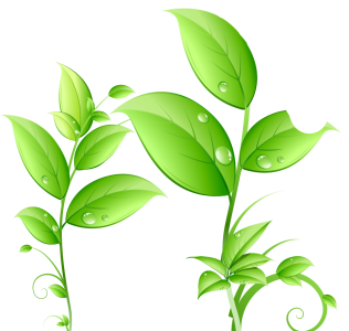 Green Plant Leaves Vector Free PNG