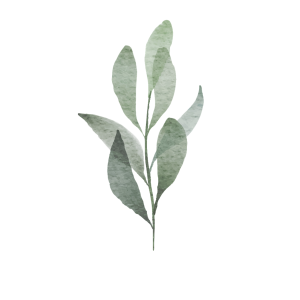 Watercolor Green Leaves Branch Free PNG