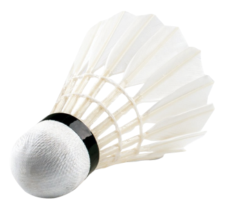 Badminton Shuttlecock Clipart PNG Image