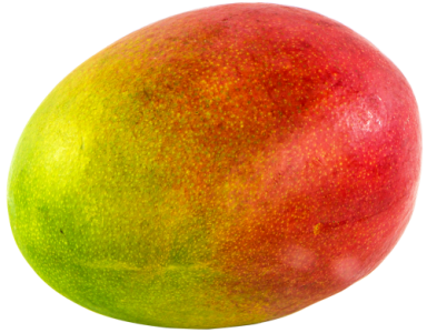 Fresh Mango Fruit Free Download PNG