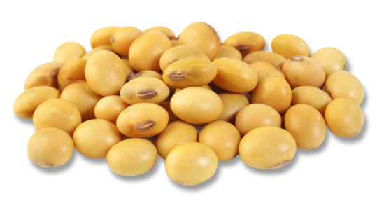 Yellow Soybeans Pile Clipart