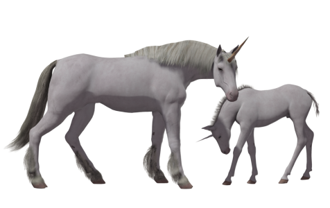Unicorn Mother and Foal Walking Free PNG
