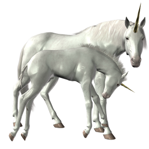 Unicorn Pair Standing PNG Image