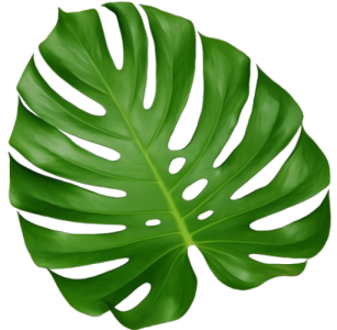 Green Leaf, plant Stem, arecaceae, Leaf Plant PNG Image File Free Download – Clickpng