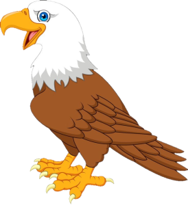 Cartoon Bald Eagle Bird Free PNG