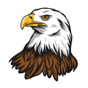Bald Eagle Head Vector Art Clipart
