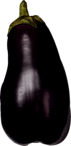 Green Checkmark Success Icon PNG Image