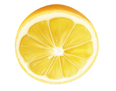 Fresh Lemon Round Slice PNG Image