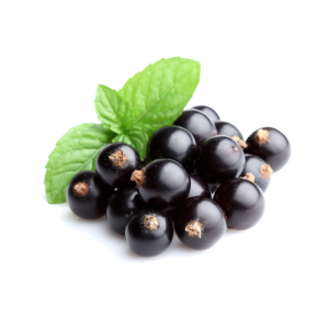 Fresh Blackcurrant Berries With Mint Leaf PNG Image